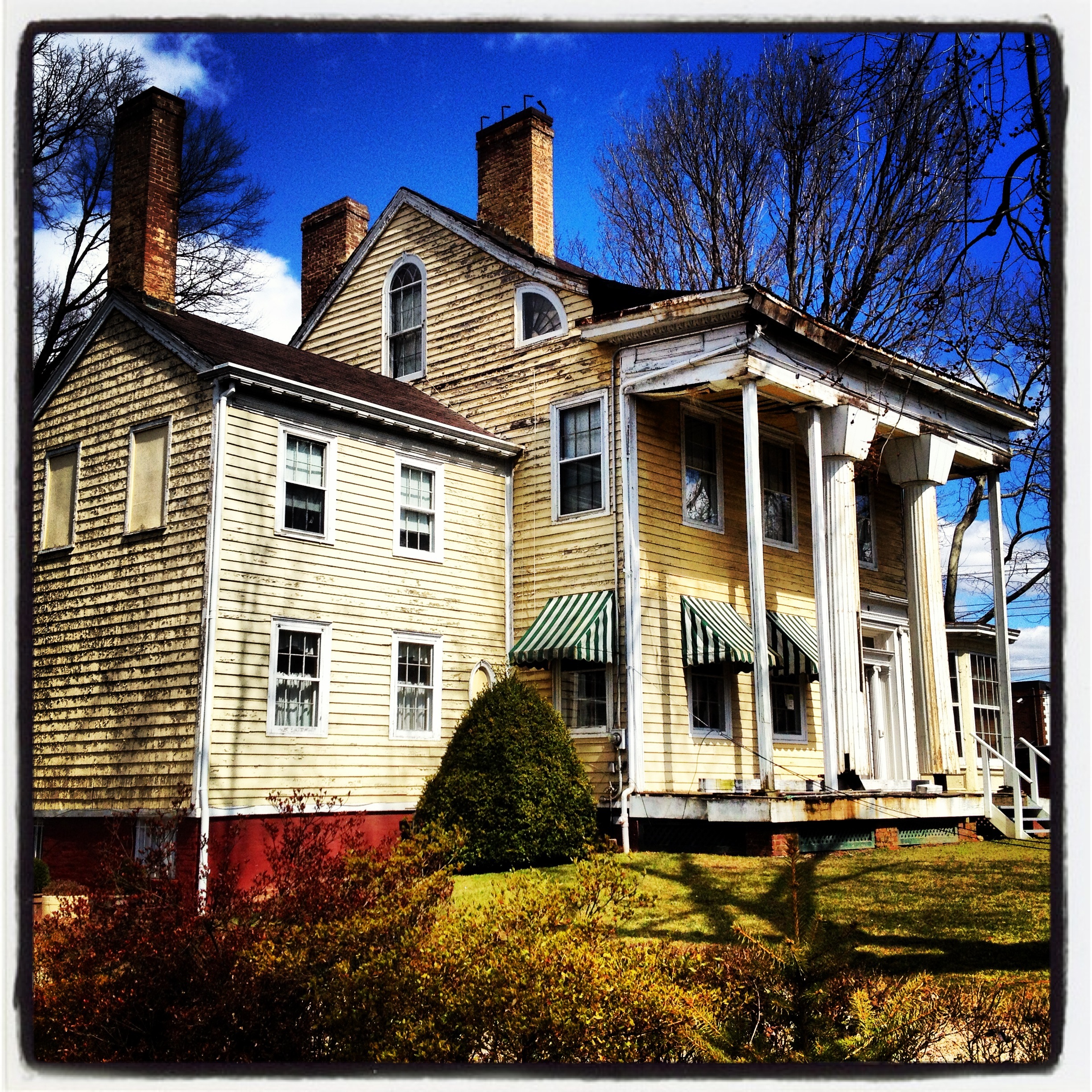 Snug Harbor Holly's Staten Island Buzz Realty