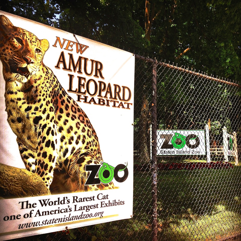 staten island zoo Archives Holly's Staten Island Buzz Realty