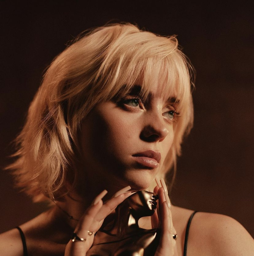 Billie Eilish Birth Date, Family, Bio, Occupation HollyWire