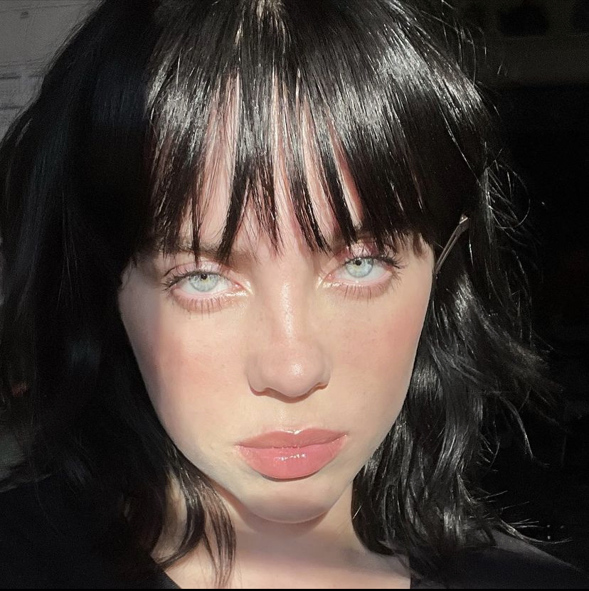Billie Eilish Birth Date, Family, Bio, Occupation HollyWire