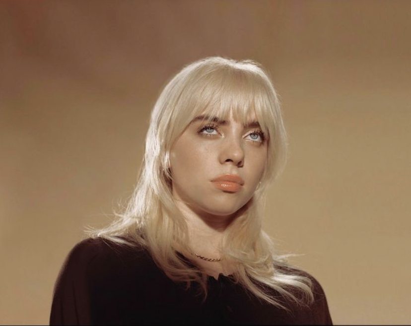 Billie Eilish Birth Date, Family, Bio, Occupation HollyWire