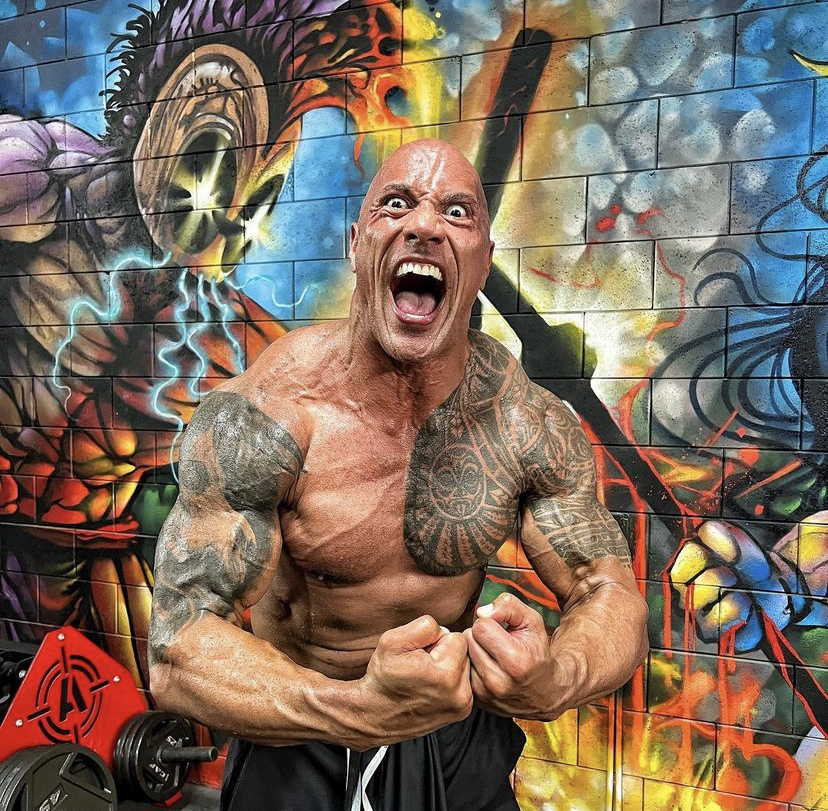 Dwayne Johnson Birth Date, Family, Bio, Occupation HollyWire