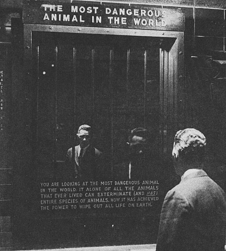 Bronx Zoo Contemplations Hollywood Elsewhere