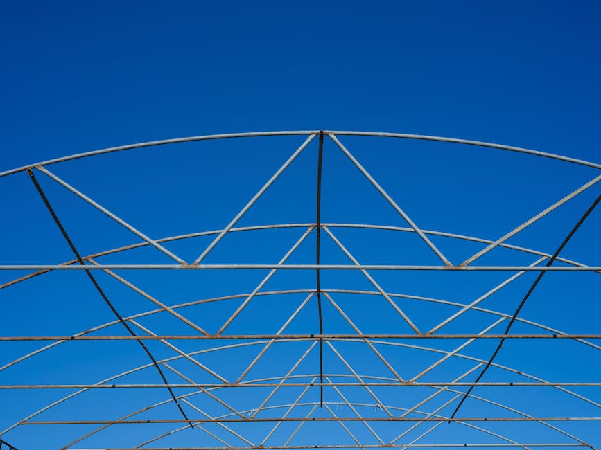 How To Frame A Shot Cinematography Hollywood Dynamics