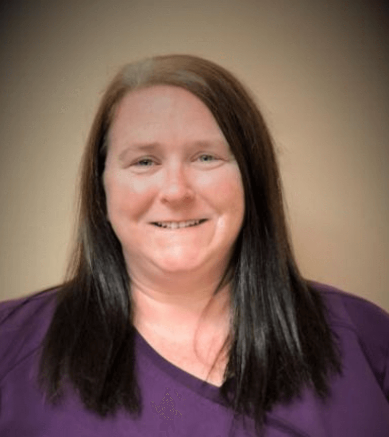 Best Veterinary Clinic In Laurens, SC 29360 Holmes Veterinary Hospital