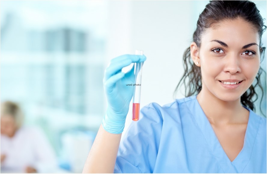 Understanding Your Routine Fertility Blood Tests Holness Nutrition