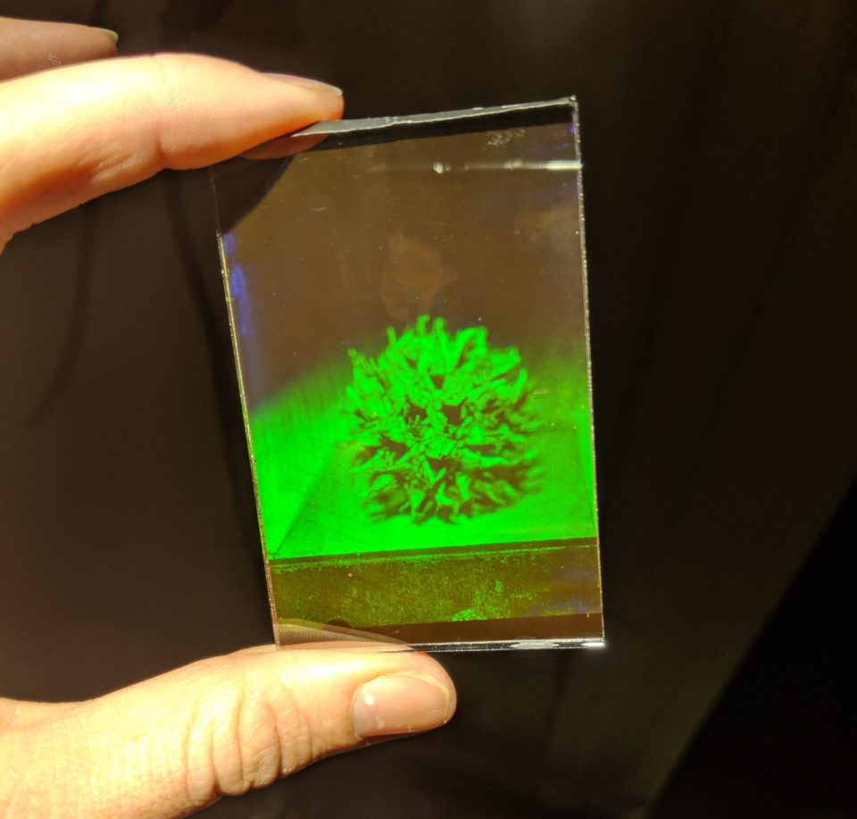 Different Types of Holograms holocenter