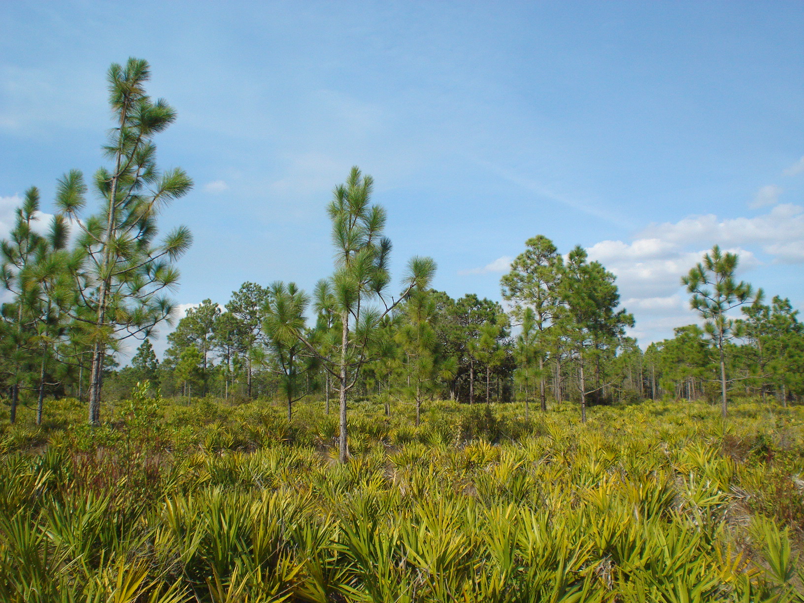 Suburban Estates Holopaw Recreational Lots For Sale