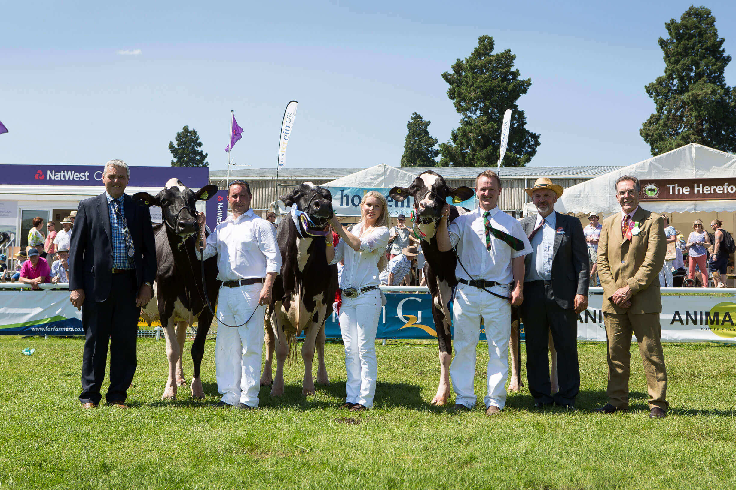 Royal Welsh Showground Venue Hire Showground in Builth.
