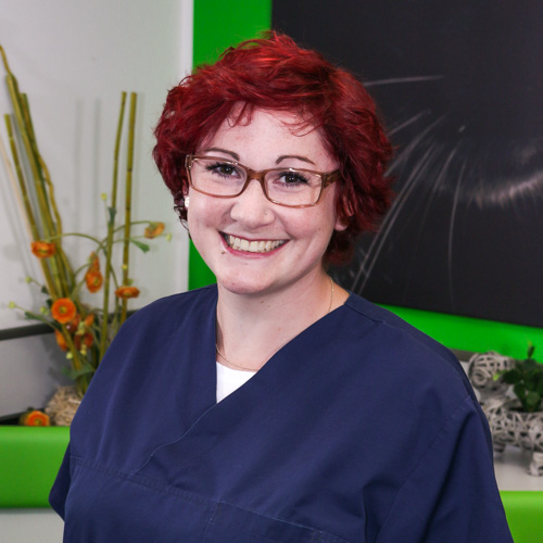 Über die Praxis Tierarztpraxis Dr. Holst