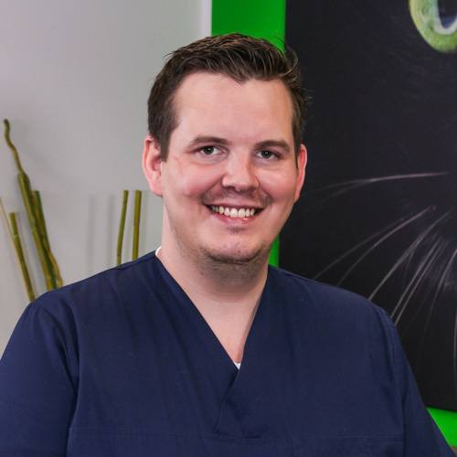 Über die Praxis Tierarztpraxis Dr. Holst