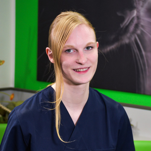 Über die Praxis Tierarztpraxis Dr. Holst