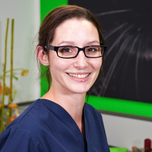 Über die Praxis Tierarztpraxis Dr. Holst