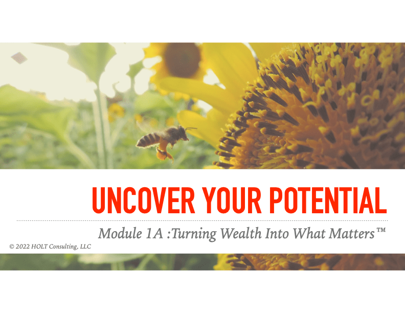Module 01A Uncover Your Potential Holt Consulting