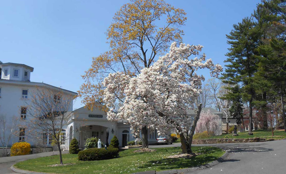 About Us Holy Apostles College & Seminary