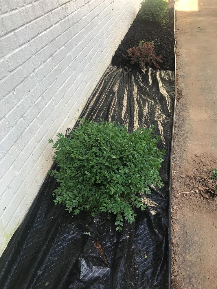 Gallery Landscape Company in Springfield, Virginia Holylandscaping