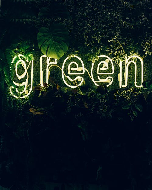 What does "Going Green" really means?, Essential ways for Students "Go