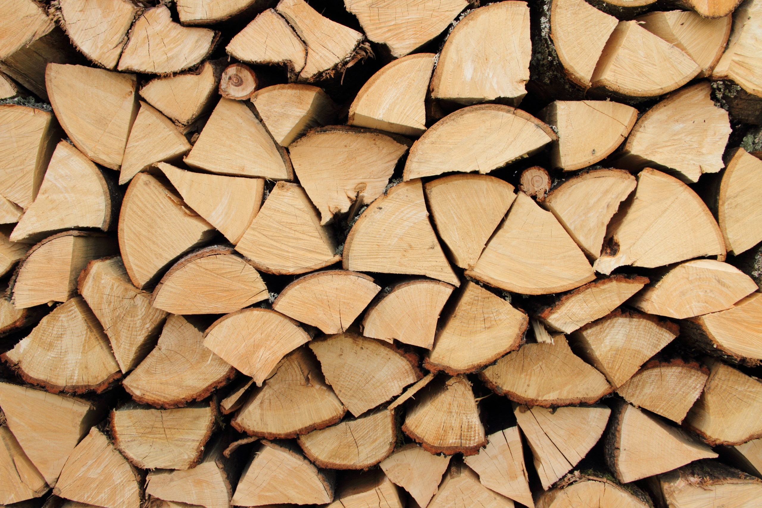 Brennholz Saarland Kaufen inkl. Versandkosten! Holz Harry