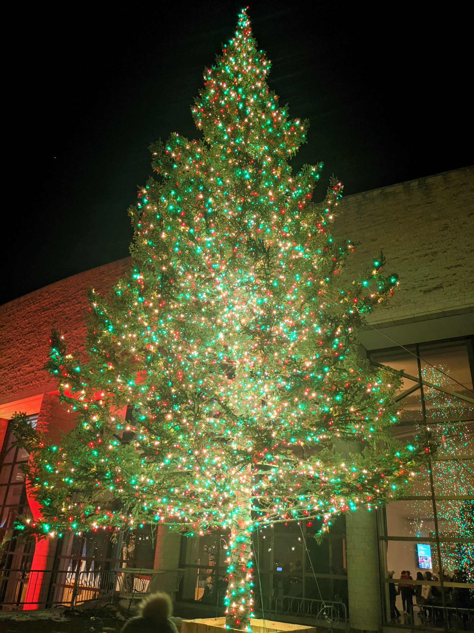 Christmas light installation Ottawa Commercial and Residential