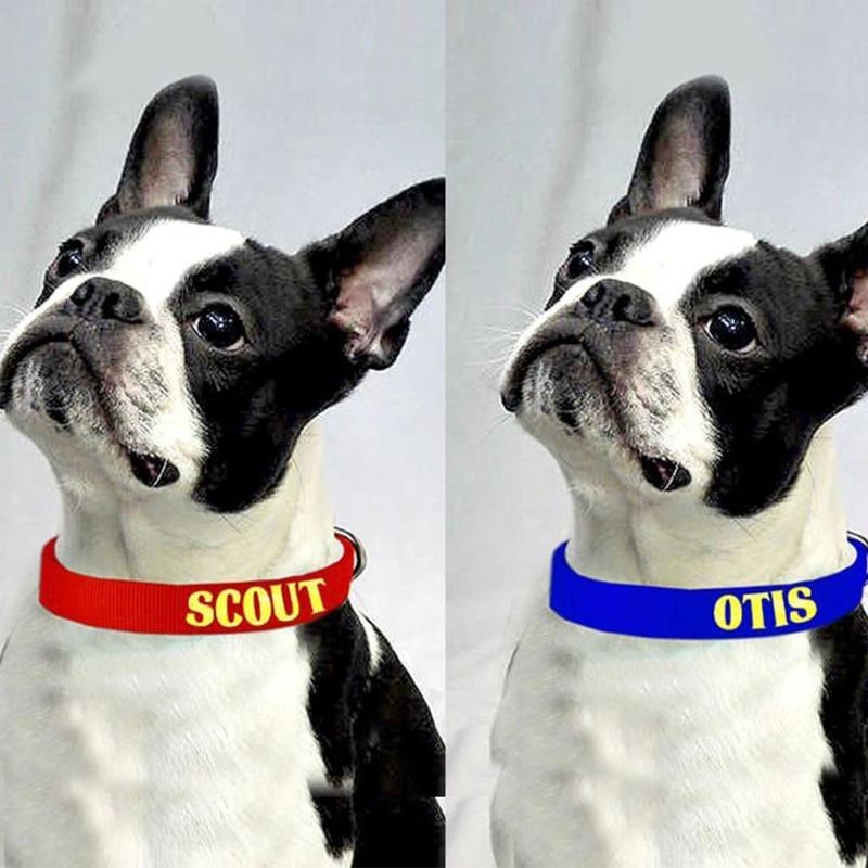Customized Dog Collars Dog Collars With Name Homafy