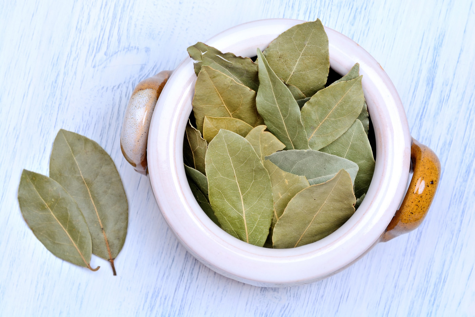 How to Use Bay Leaves The Misunderstood Herb HomeEc 101