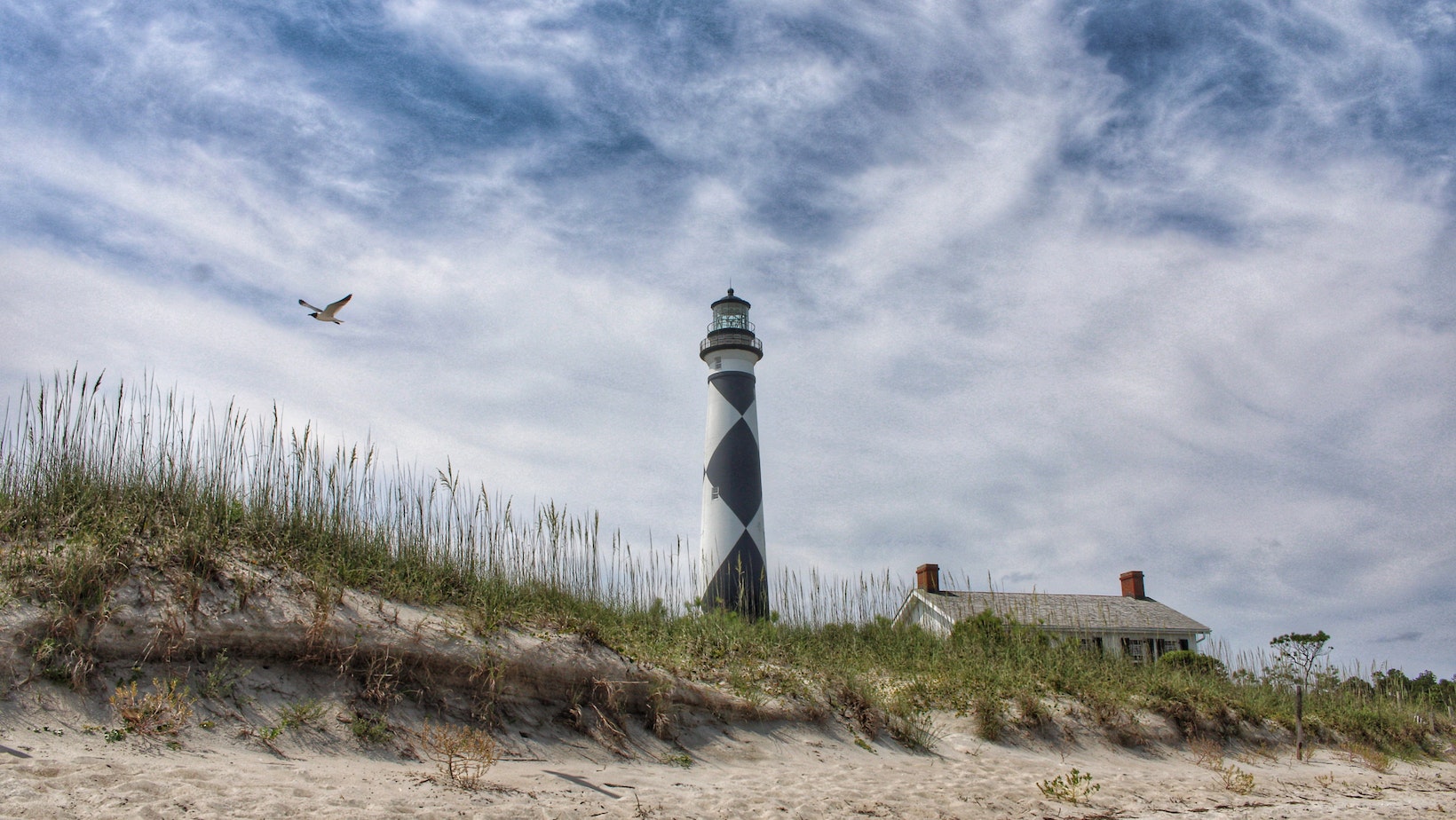 How Far is North Carolina from Florida by Car A Detailed Road Trip