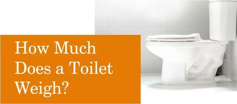 How Much Does a Toilet Weigh?