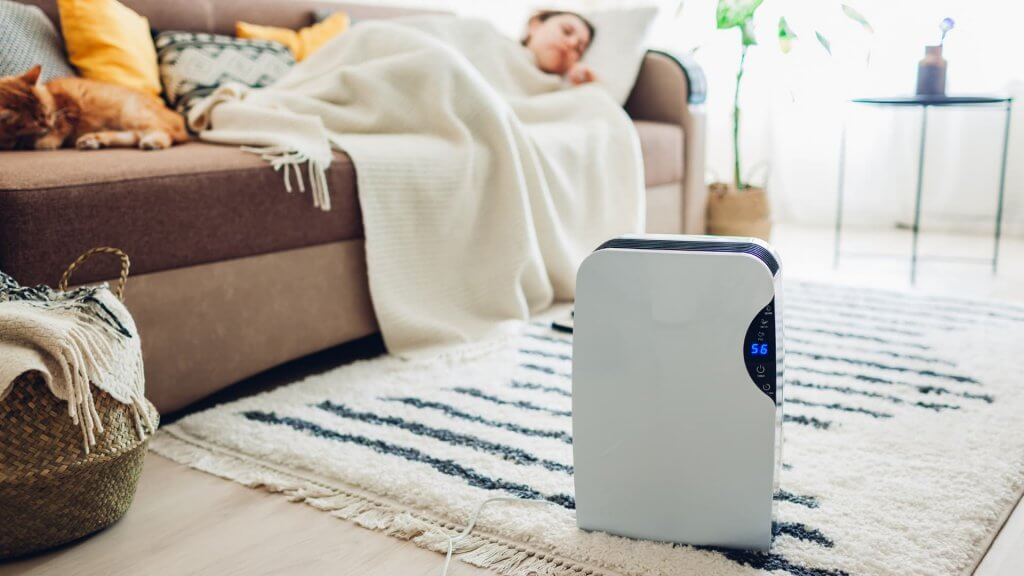 How Long Should a Dehumidifier Run Per Day