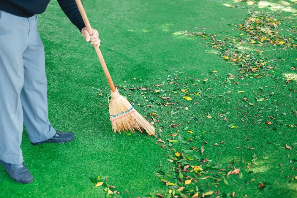 Your Complete Guide on How to Clean Artificial Grass Home & Style