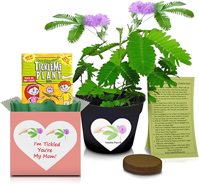 55 BEST Gifts For Garden and Outdoor Loving Moms [2023 Edition] Home