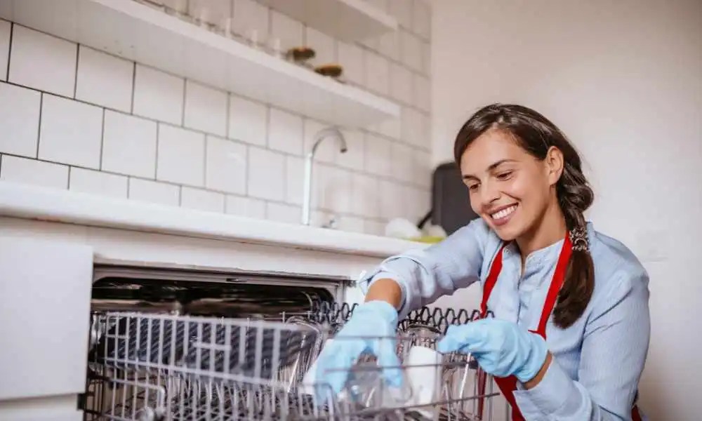 How To Clean Dishwasher Without Vinegar Home Art Guide