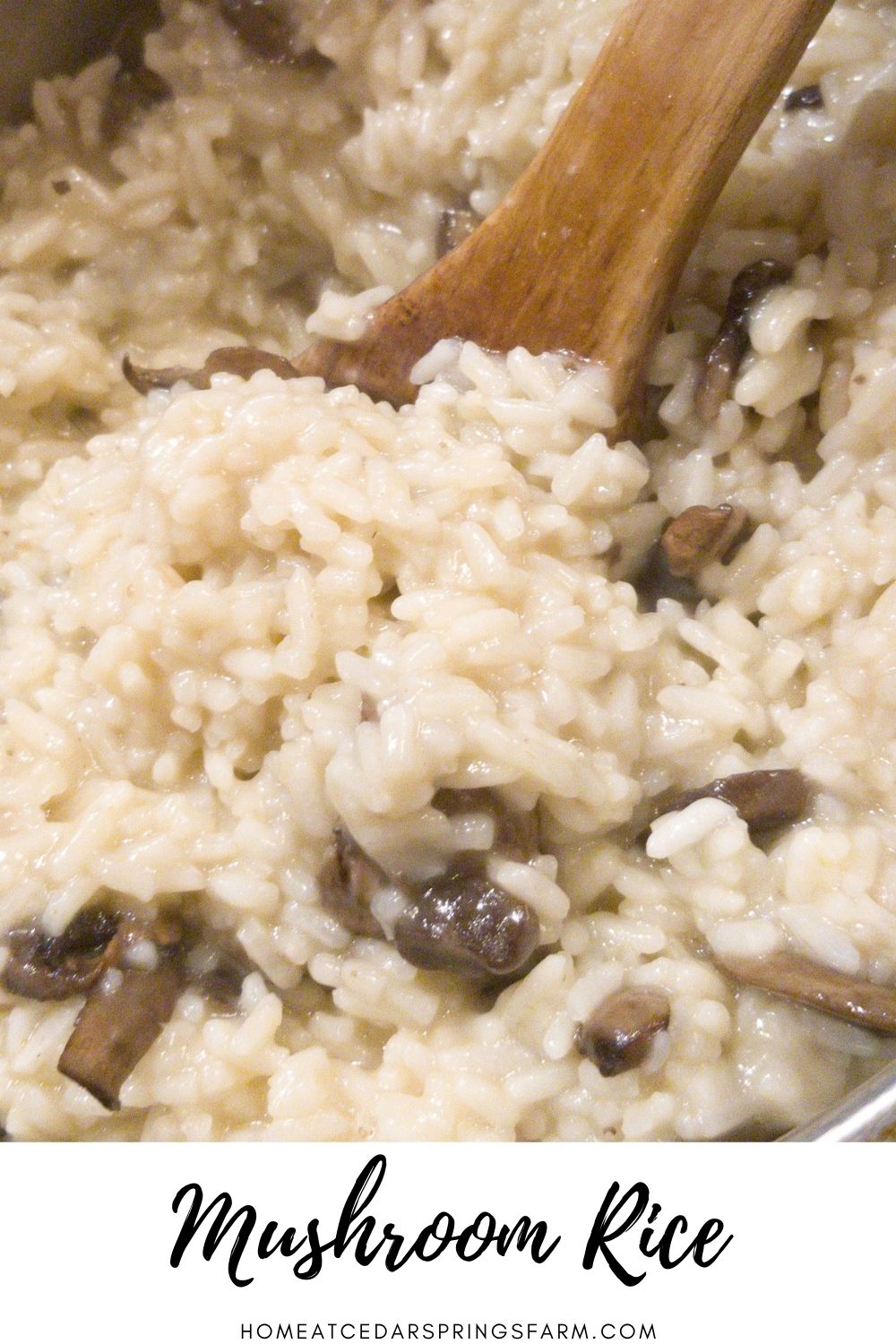 Creamy Mushroom Rice Home at Cedar Springs Farm
