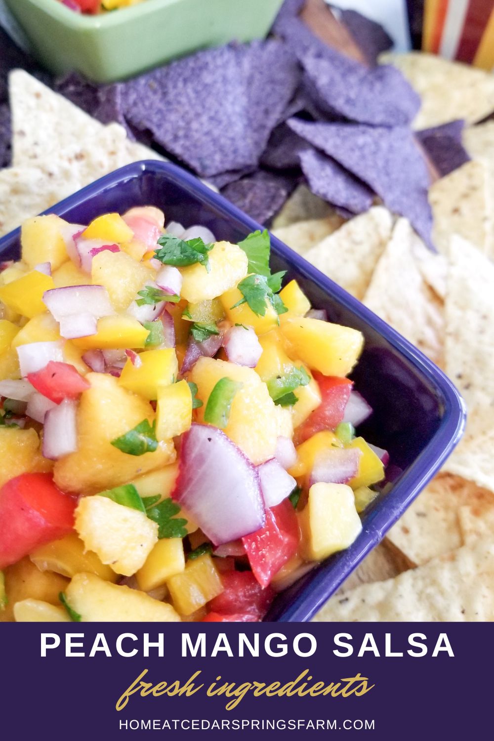 Peach Mango Salsa Home at Cedar Springs Farm