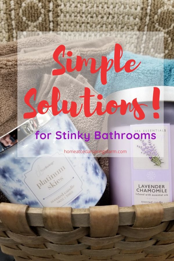 9 Insainly Simple Solutions for Bathroom Smells Home at Cedar Springs