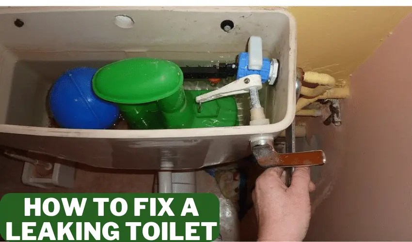 How to Fix a Leaking ToiletStep by Step Guide
