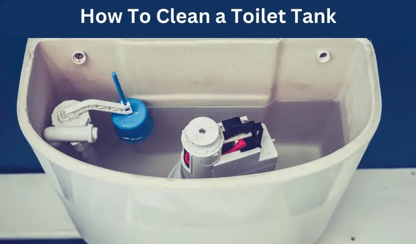 How To Clean a Toilet Tank Ultimate Guide