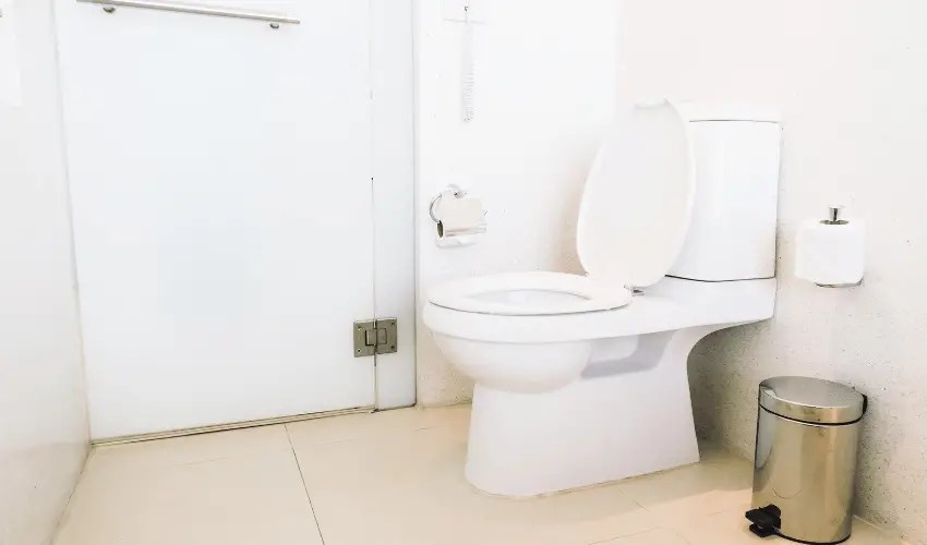 OnePiece or TwoPiece Toilet Home Bath Review