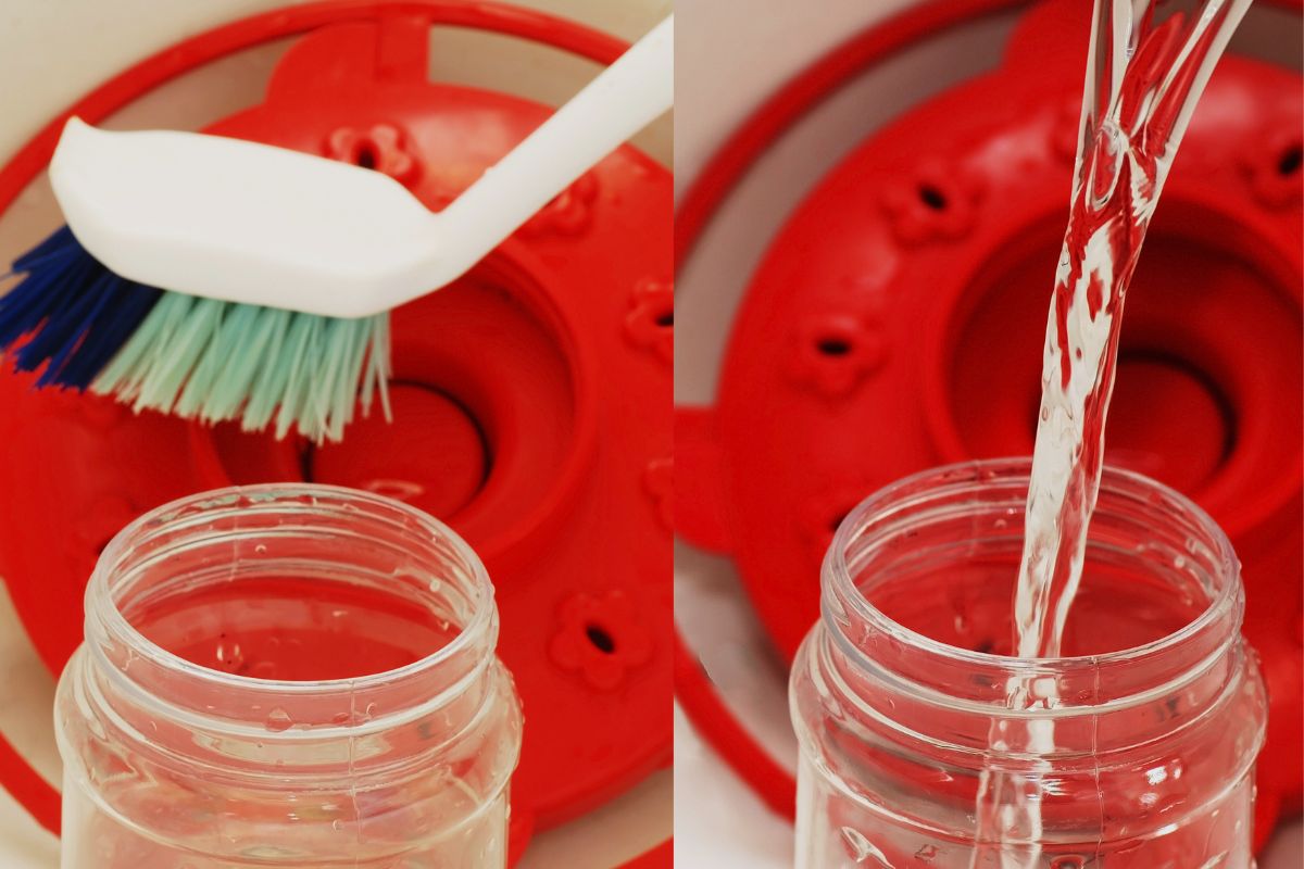 How Often To Clean Hummingbird Feeder? The Essential Guide for Bird Lovers