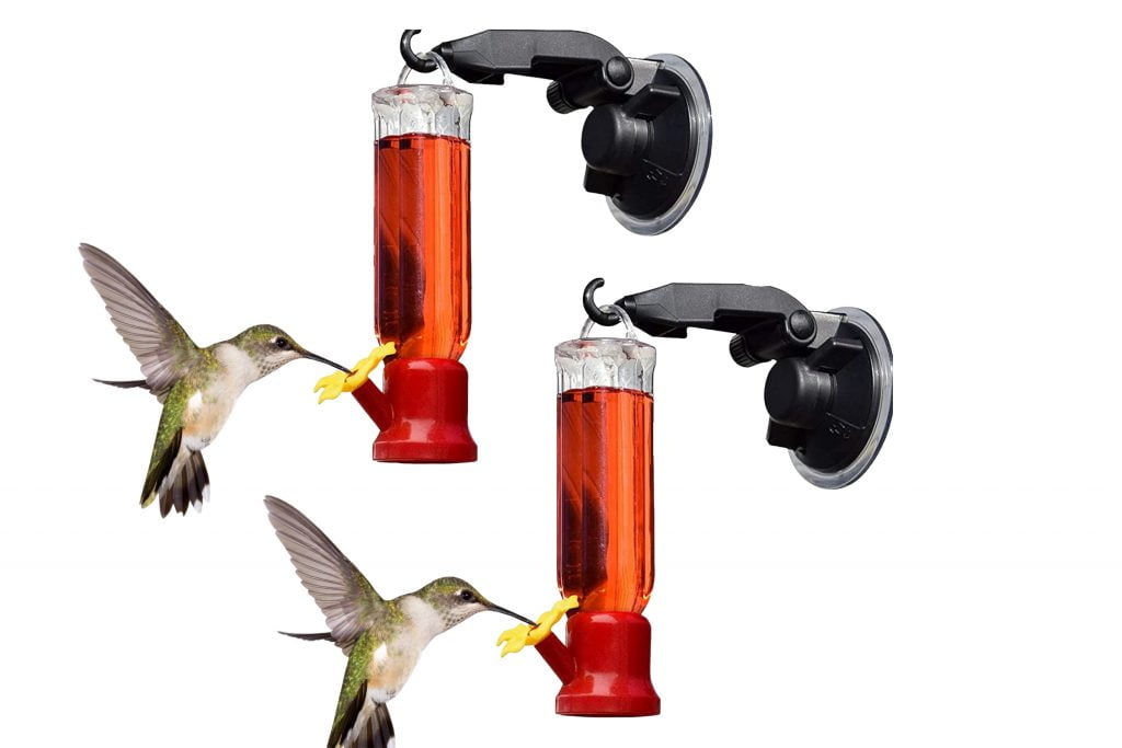 Are Window Hummingbird Feeders Safe for Birds? A Comprehensive Guide