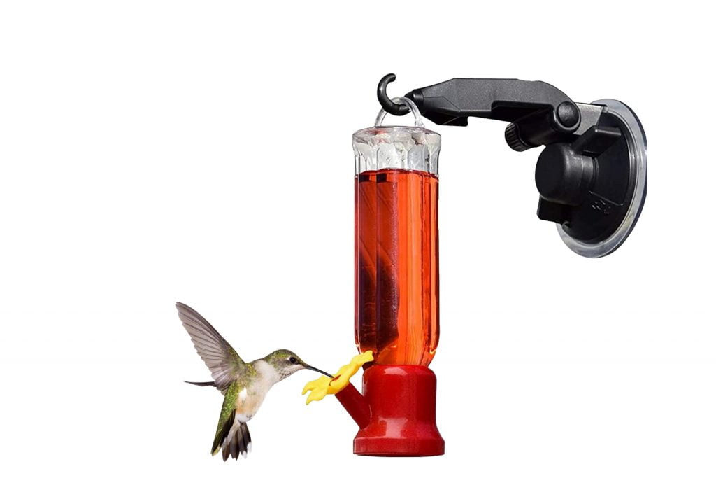 Are Window Hummingbird Feeders Safe for Birds? A Comprehensive Guide
