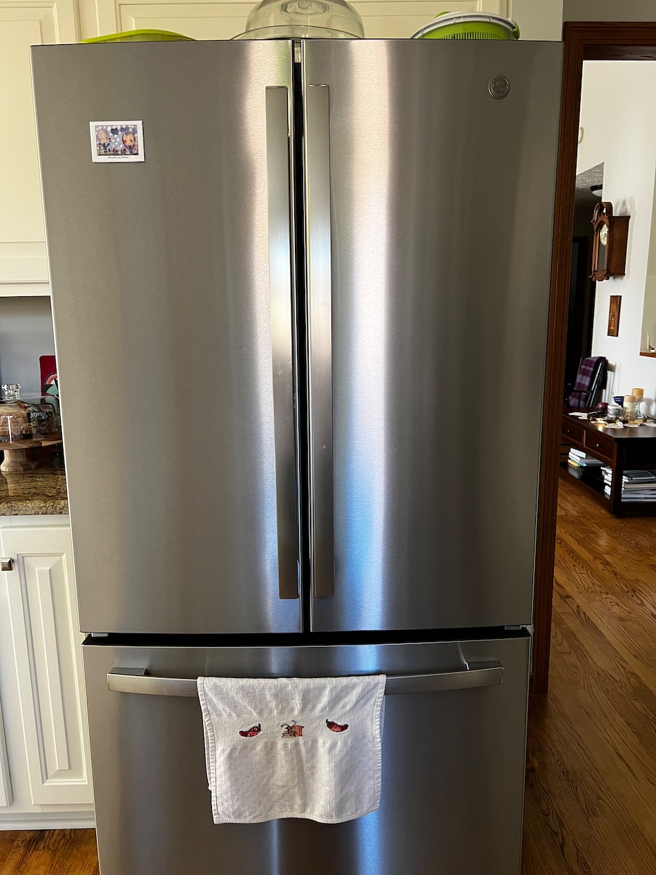 common problems with refrigerators Home Body Havens