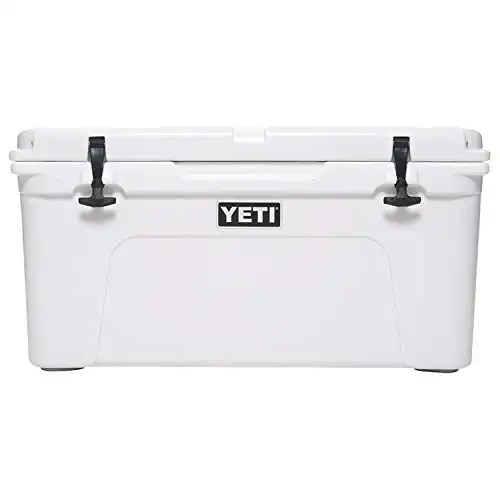 11 Best Coolers for Ice Retention