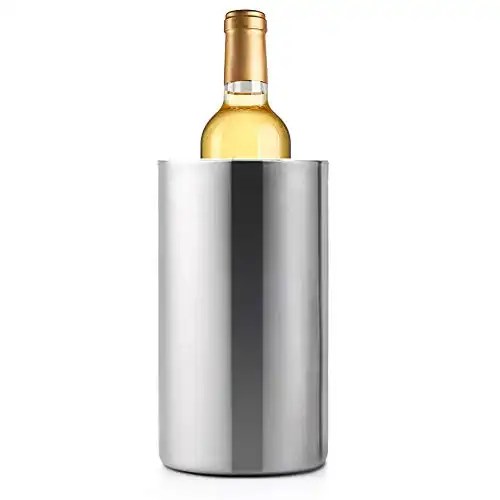 Best Wine Bottle Chillers to Try Out