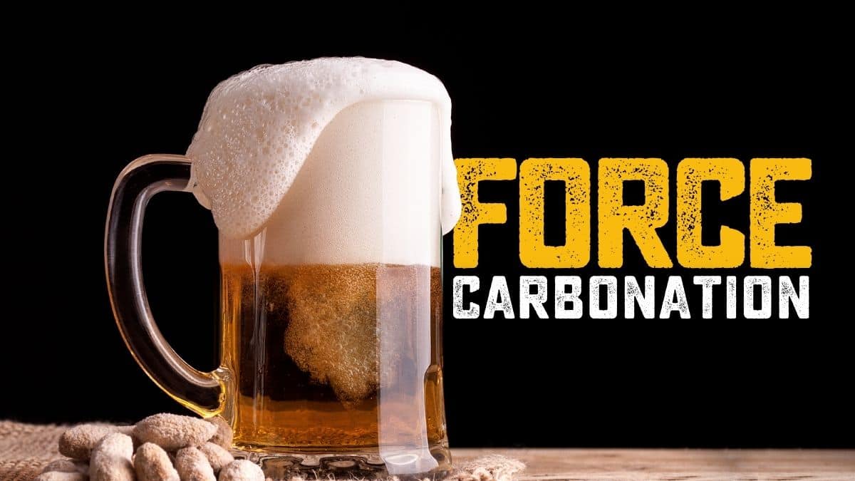 Force Carbonation Calculator & How To Homebrew Academy