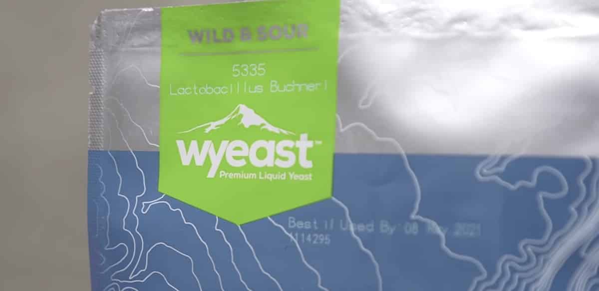 How To Brew Gose Beer [Full Recipe] Homebrew Academy