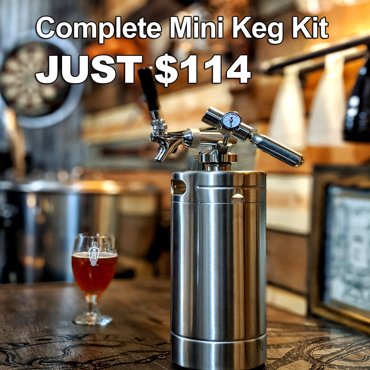 Home Brewing Coupon Alert Complete Mini Keg System for Only 114