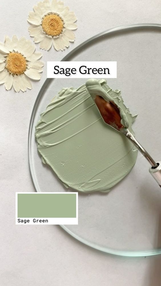 How to Make Sage Green Paint A StepbyStep Guide for DIY Painters
