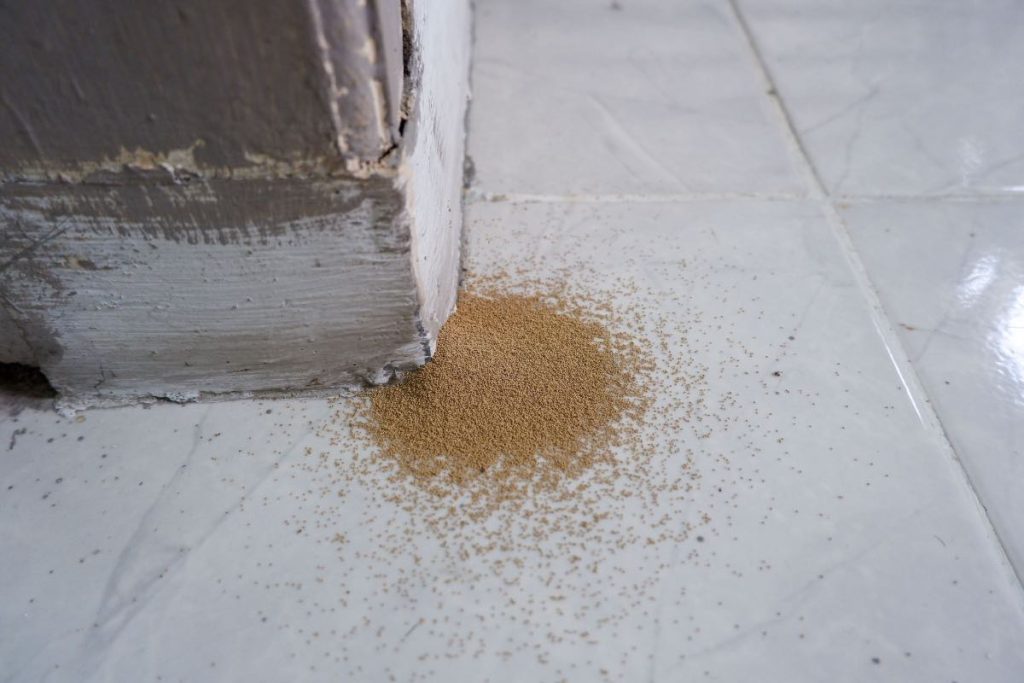 Unveiling the Silent Invaders Recognizing Signs of Termites in Ceiling
