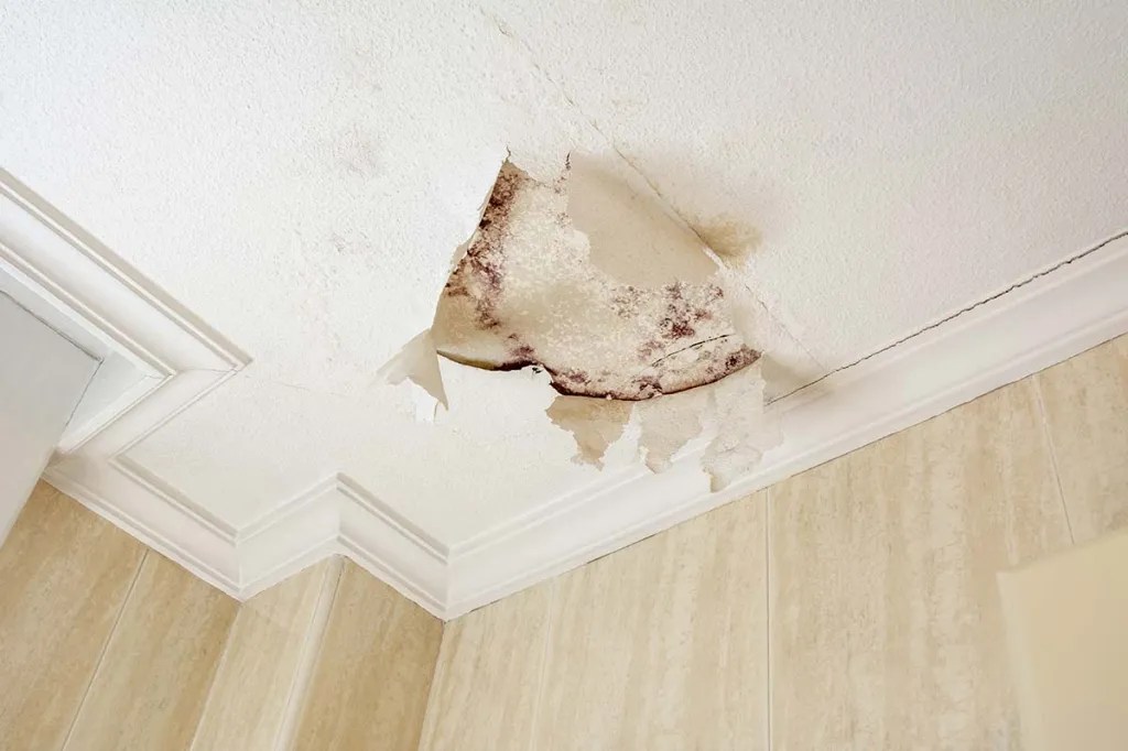 Ceiling Bubbling From Water Issues Unveiled Troubleshooting Tips for a