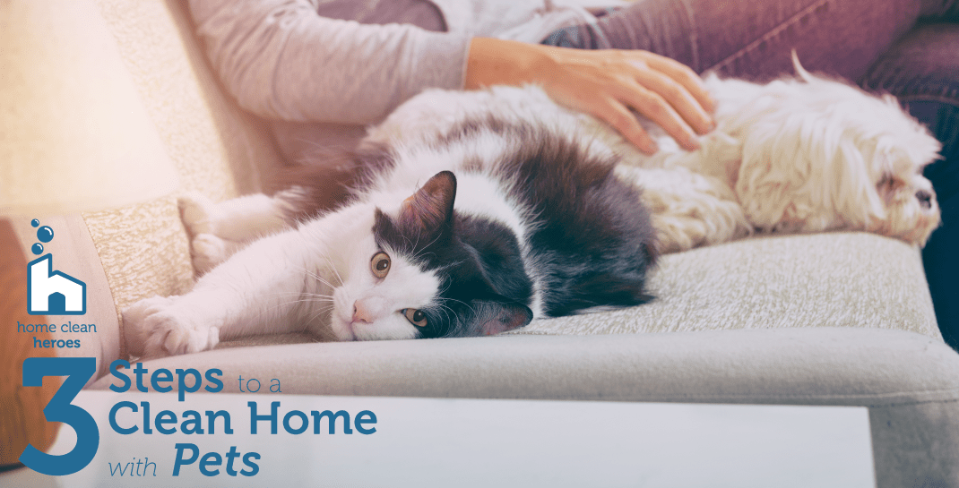 3 Steps To Having A Clean Home With Pets Home Clean Heroes